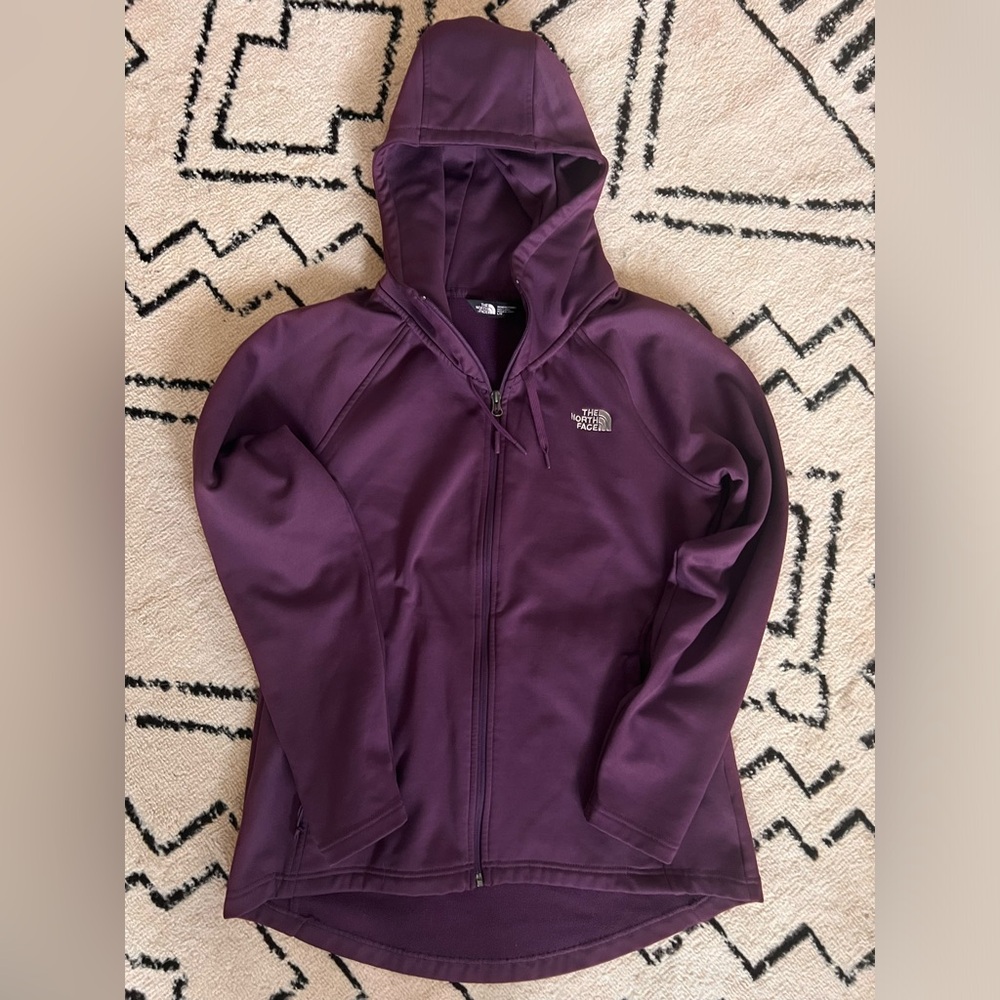 THE NORTH FACE MOMENTUM HOODIE